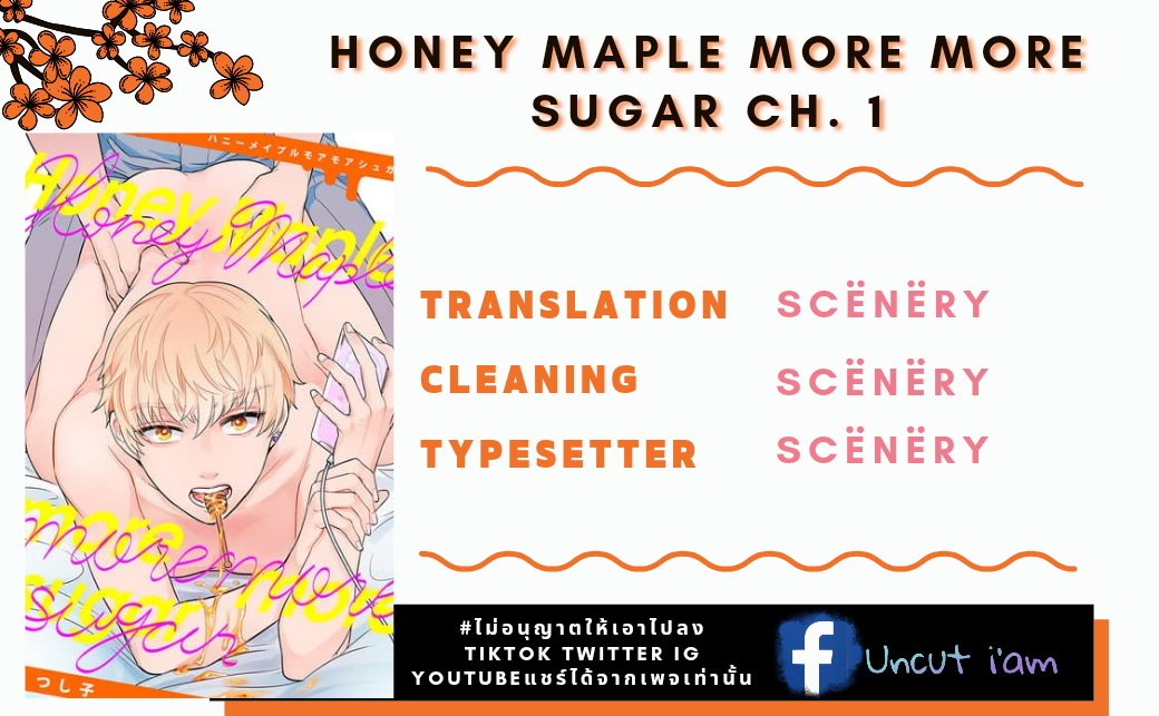 Honey Maple More More Sugar 1 01
